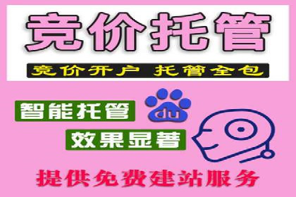 信息流代理案例分享：助力企业增长之道
